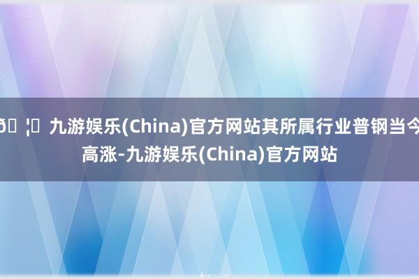 🦄九游娱乐(China)官方网站其所属行业普钢当今高涨-九游娱乐(China)官方网站