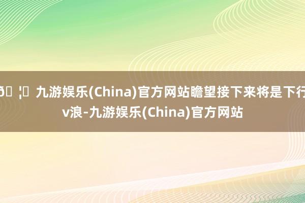 🦄九游娱乐(China)官方网站瞻望接下来将是下行v浪-九游娱乐(China)官方网站