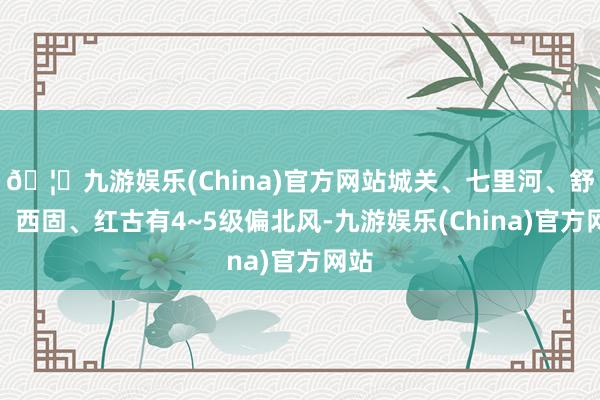 🦄九游娱乐(China)官方网站城关、七里河、舒缓、西固、红古有4~5级偏北风-九游娱乐(China)官方网站