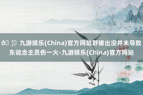 🦄九游娱乐(China)官方网站野猪出没并未导致东说念主员伤一火-九游娱乐(China)官方网站