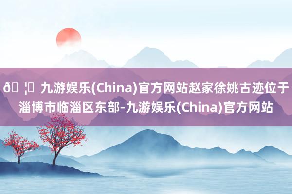 🦄九游娱乐(China)官方网站赵家徐姚古迹位于淄博市临淄区东部-九游娱乐(China)官方网站