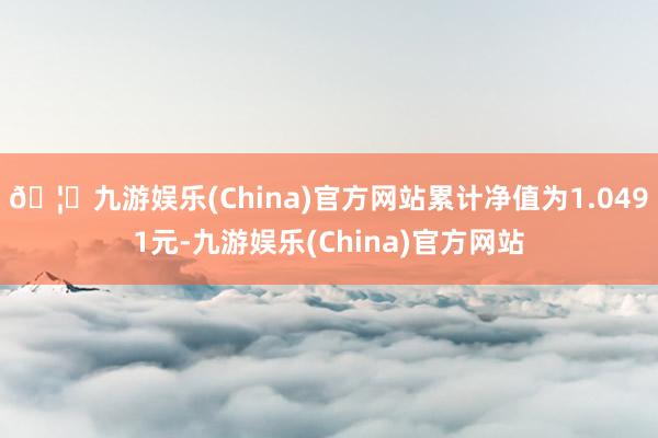 🦄九游娱乐(China)官方网站累计净值为1.0491元-九游娱乐(China)官方网站