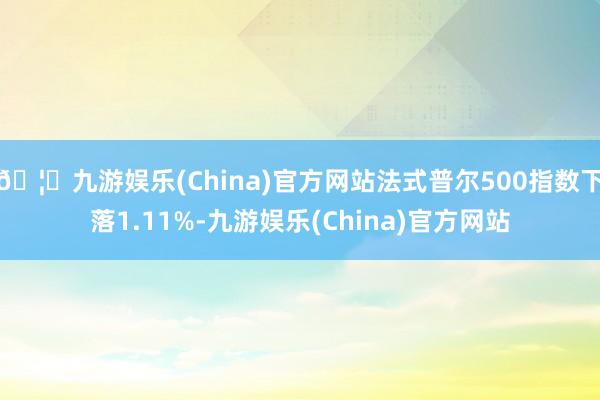 🦄九游娱乐(China)官方网站法式普尔500指数下落1.11%-九游娱乐(China)官方网站