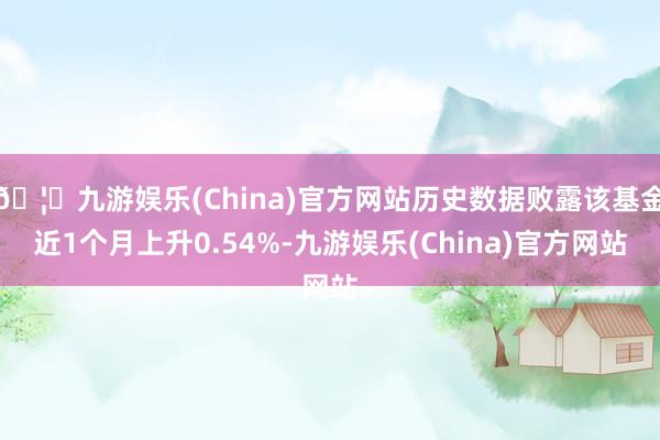 🦄九游娱乐(China)官方网站历史数据败露该基金近1个月上升0.54%-九游娱乐(China)官方网站