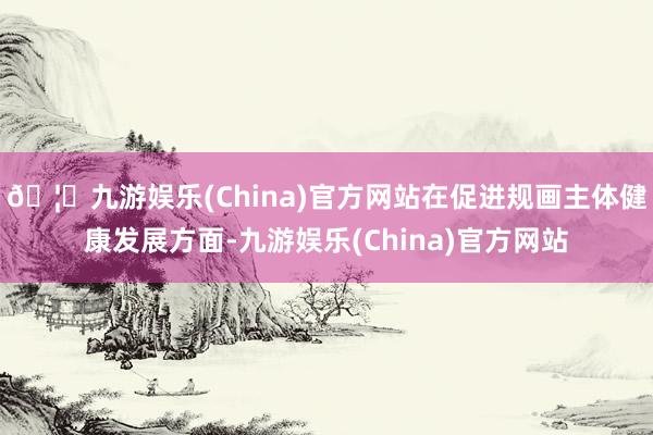 🦄九游娱乐(China)官方网站在促进规画主体健康发展方面-九游娱乐(China)官方网站