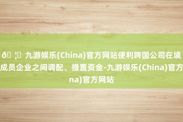 🦄九游娱乐(China)官方网站便利跨国公司在境表里成员企业之间调配、措置资金-九游娱乐(China)官方网站