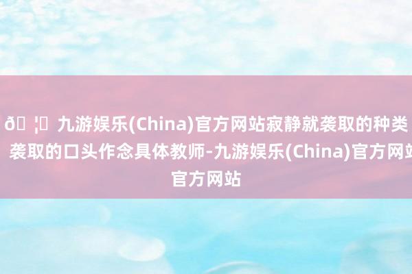 🦄九游娱乐(China)官方网站寂静就袭取的种类、袭取的口头作念具体教师-九游娱乐(China)官方网站