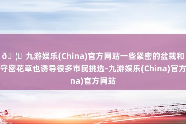 🦄九游娱乐(China)官方网站一些紧密的盆栽和非凡守密花草也诱导很多市民挑选-九游娱乐(China)官方网站