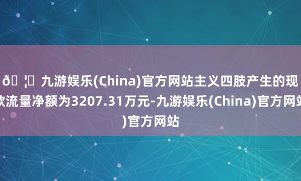 🦄九游娱乐(China)官方网站　　主义四肢产生的现款流量净额为3207.31万元-九游娱乐(China)官方网站