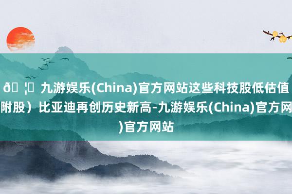 🦄九游娱乐(China)官方网站这些科技股低估值（附股）比亚迪再创历史新高-九游娱乐(China)官方网站